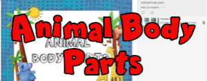 Animal Body Parts songs
