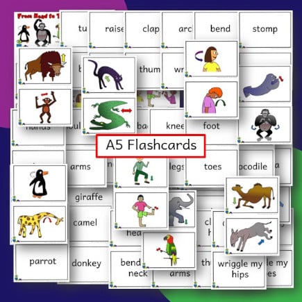 From Head to Toe Flashcards and game cards - Kids Club English